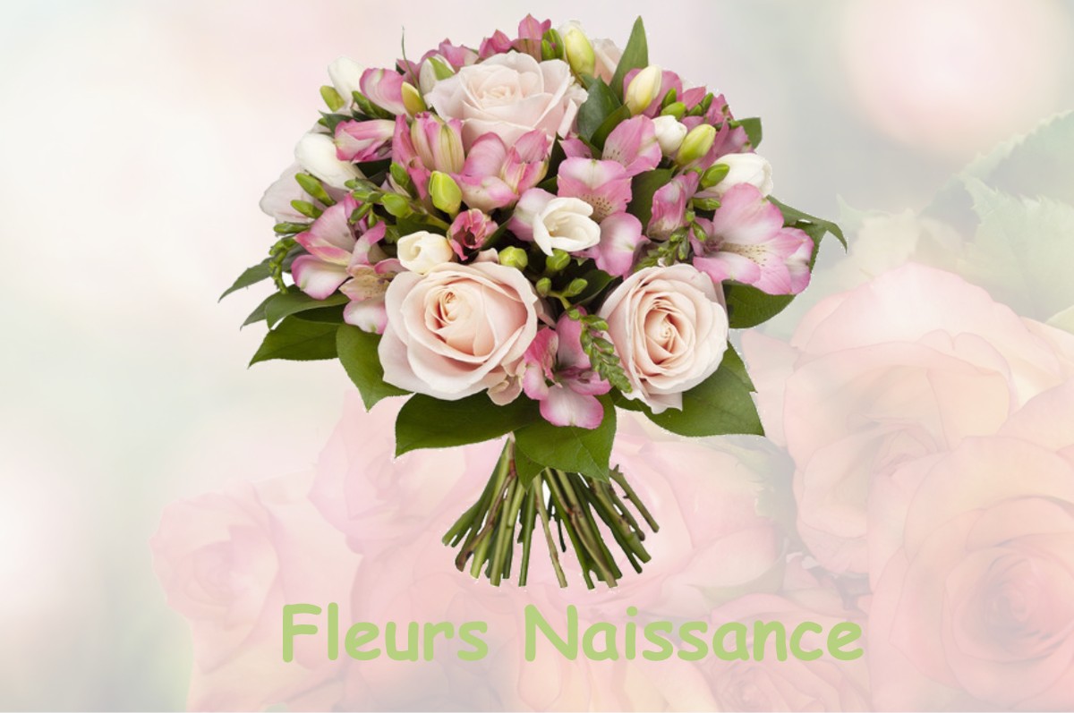 fleurs naissance BILLIERE