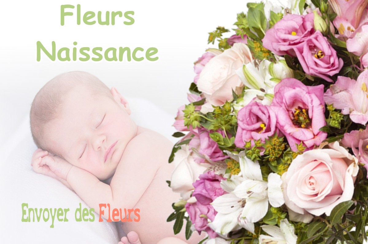 lIVRAISON FLEURS NAISSANCE à BILLIERE